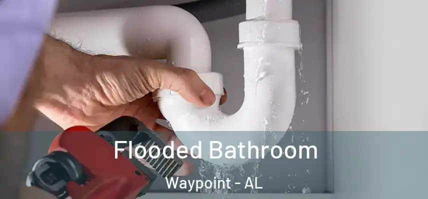  Flooded Bathroom Waypoint - AL