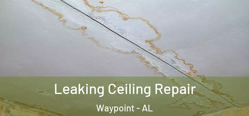  Leaking Ceiling Repair Waypoint - AL