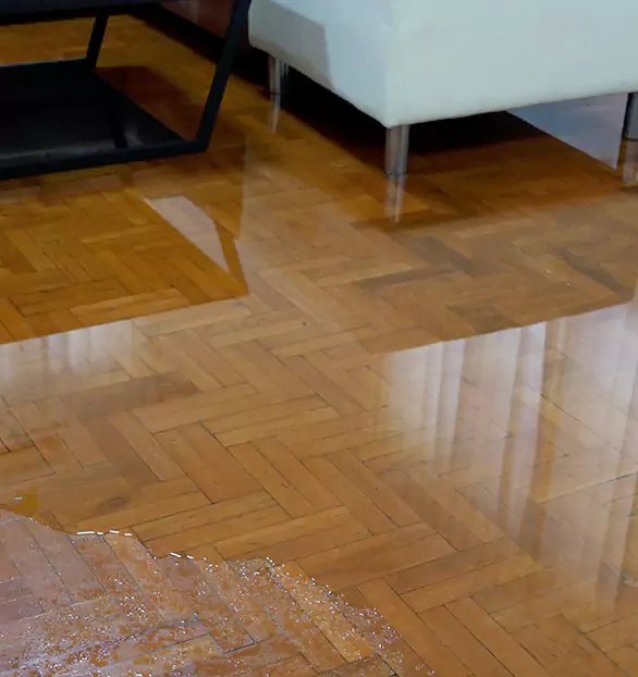 Trusted Emergency Water Restoration Company in Waypoint, AL