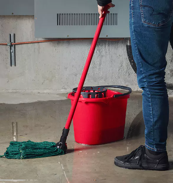 Trusted Sewage Cleanup Company in Waypoint, AL