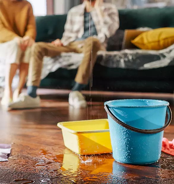 Trusted Water Remediation Company in Waypoint, AL