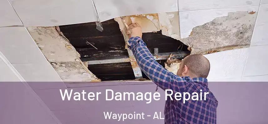  Water Damage Repair Waypoint - AL