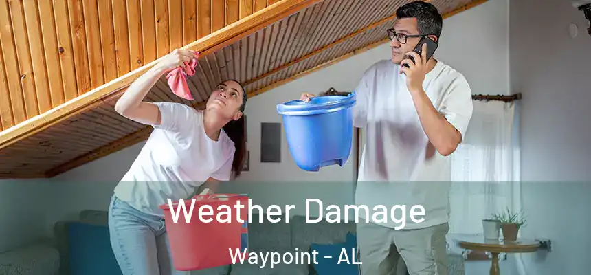 Weather Damage Waypoint - AL